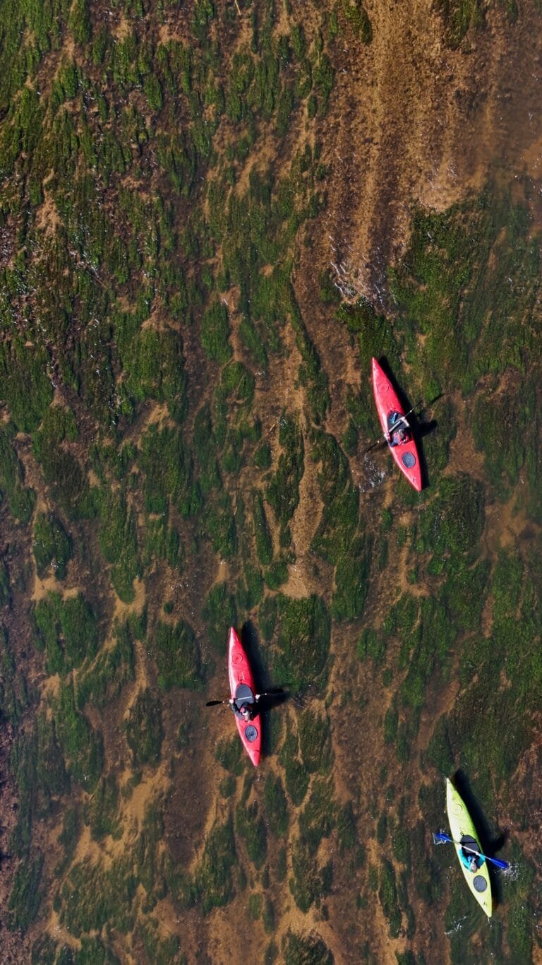 Kai Vilnelė sekli su baidarėm