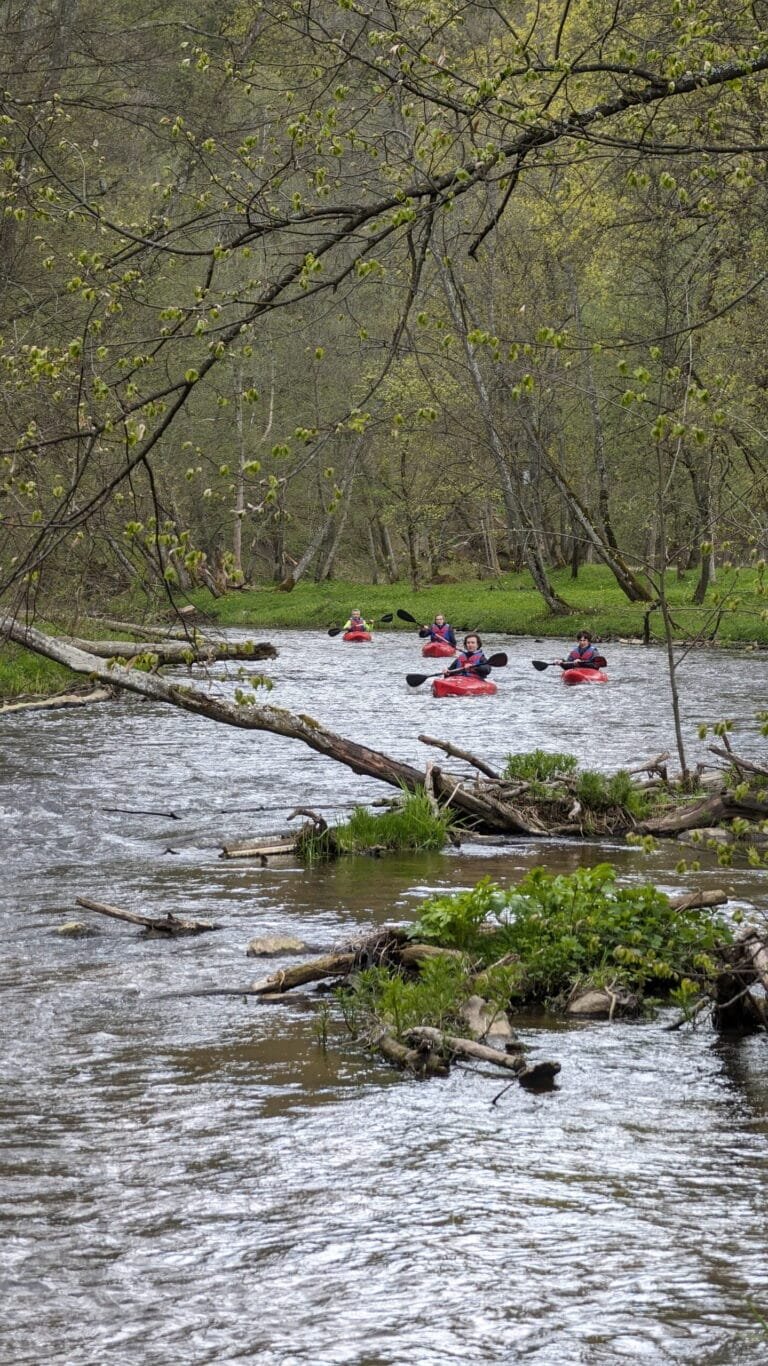 Plaukimas baidarėmis Vilnele Vilniuje su draugais