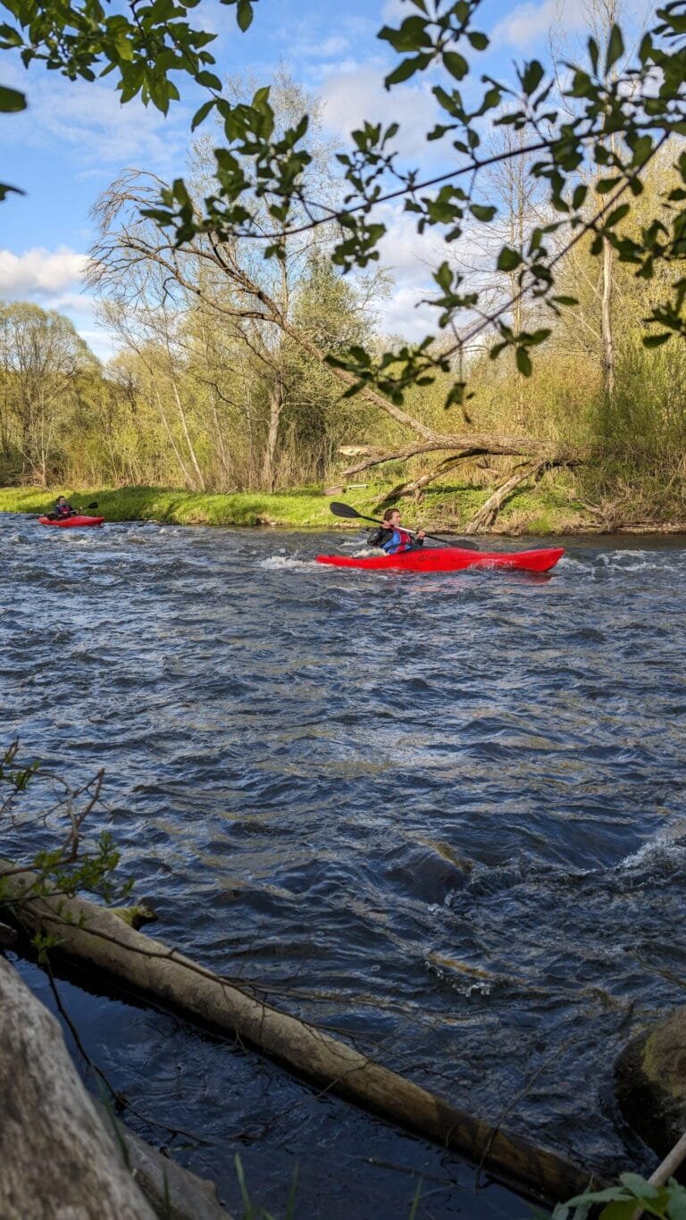 Vienvietės baidarės plaukimas Vilnele