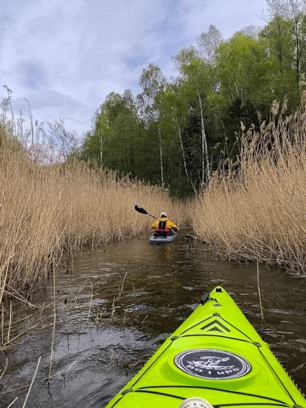 ekspedicija baidarėmis asveja ir dubinga