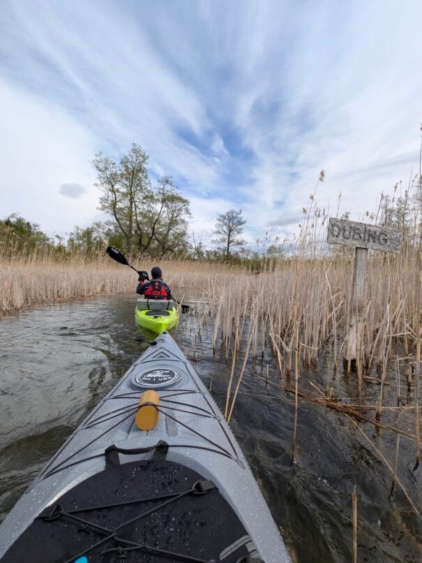 baidarėmis melduose